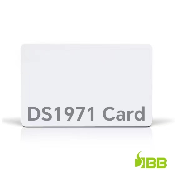 DS1971 Card