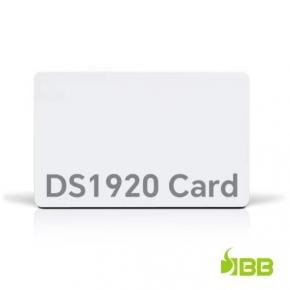 DS1920 Card