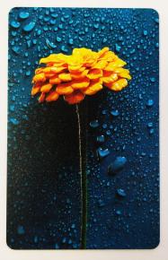 3D Relief RFID PVC Card